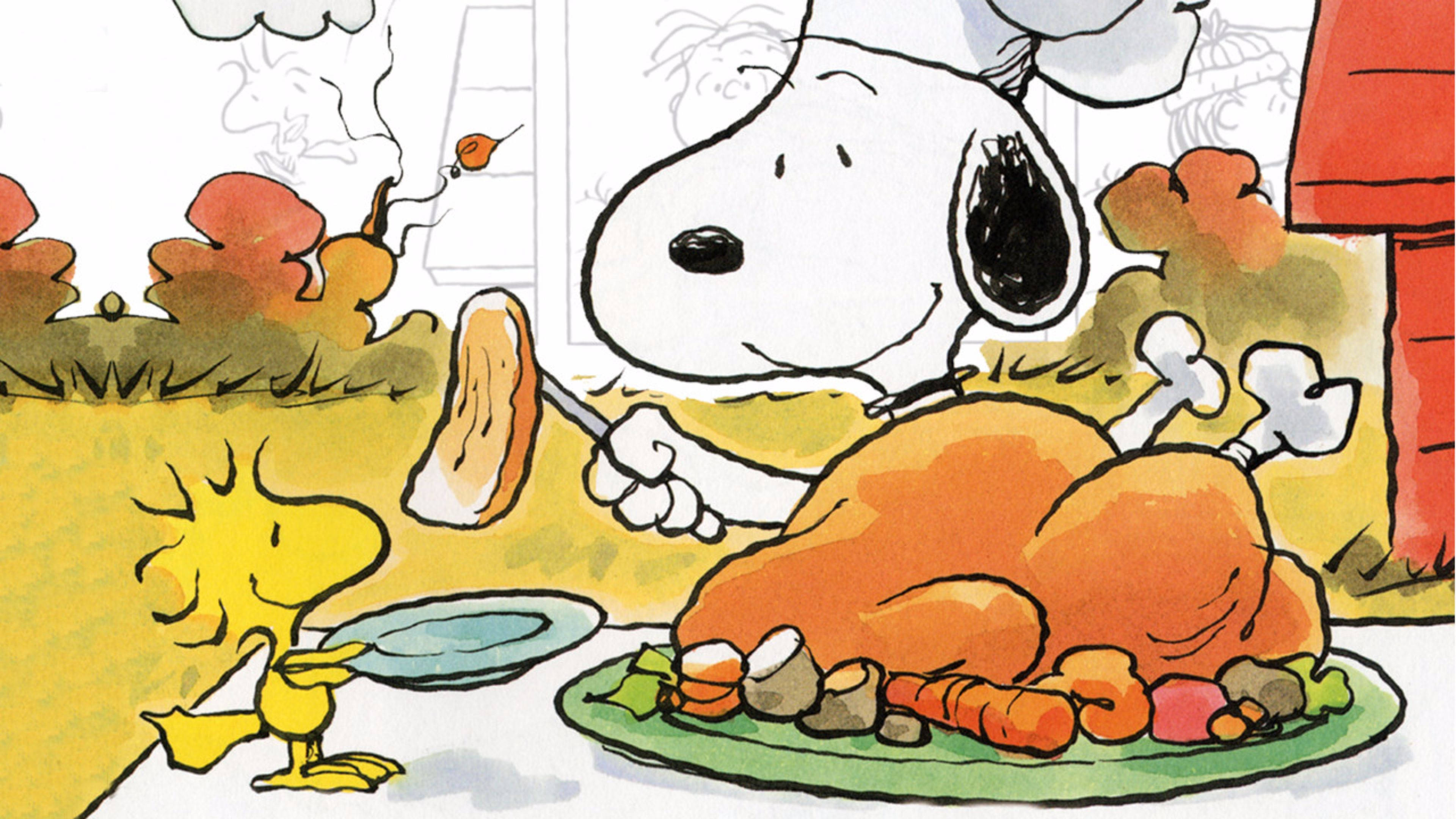 Peanuts Thanksgiving Snoopy Carving Turkey Background