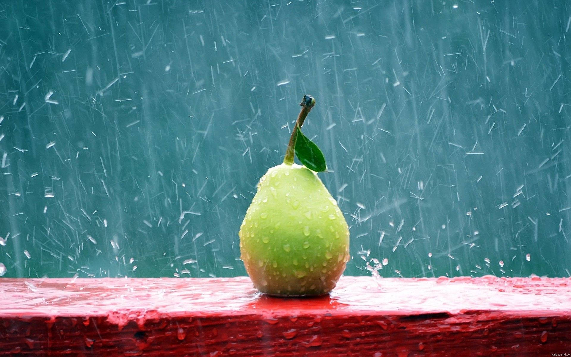 Pear Under The Rain Full Hd Computer Desktop Background