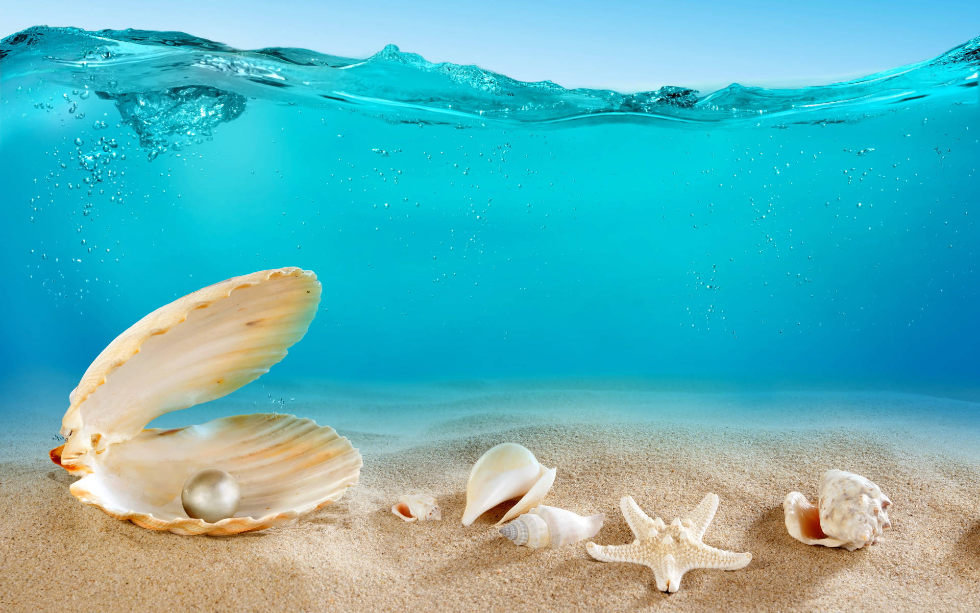 Pearl In Shell Underwater Background