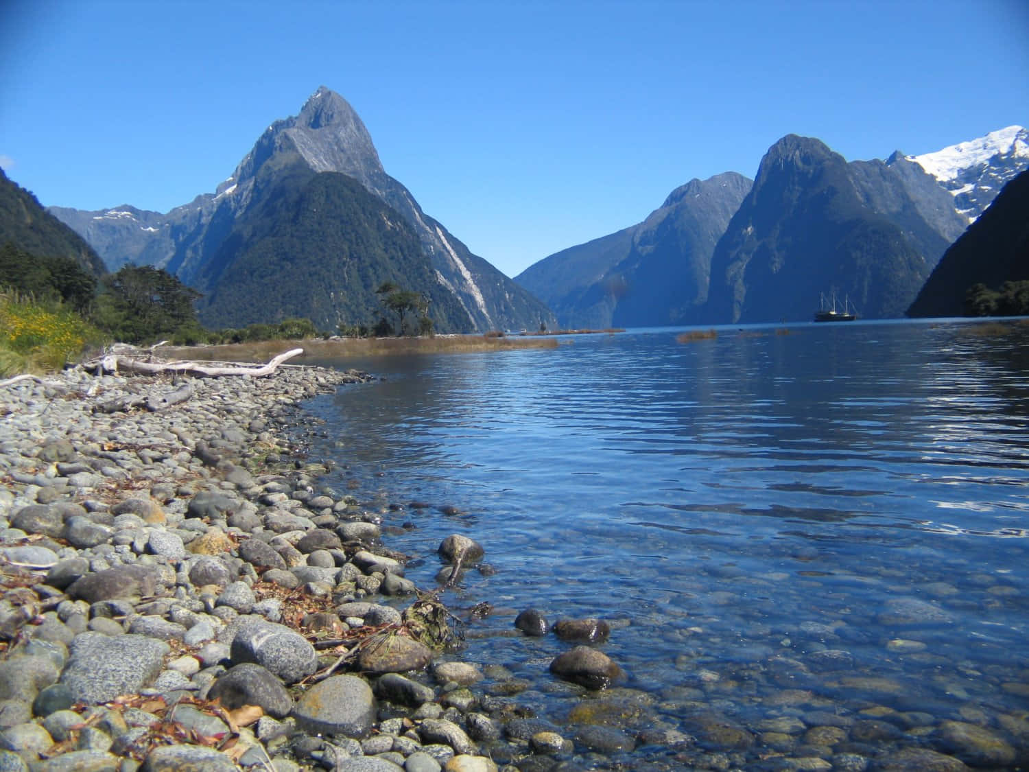 Pebbles Rock Milford Sound Background