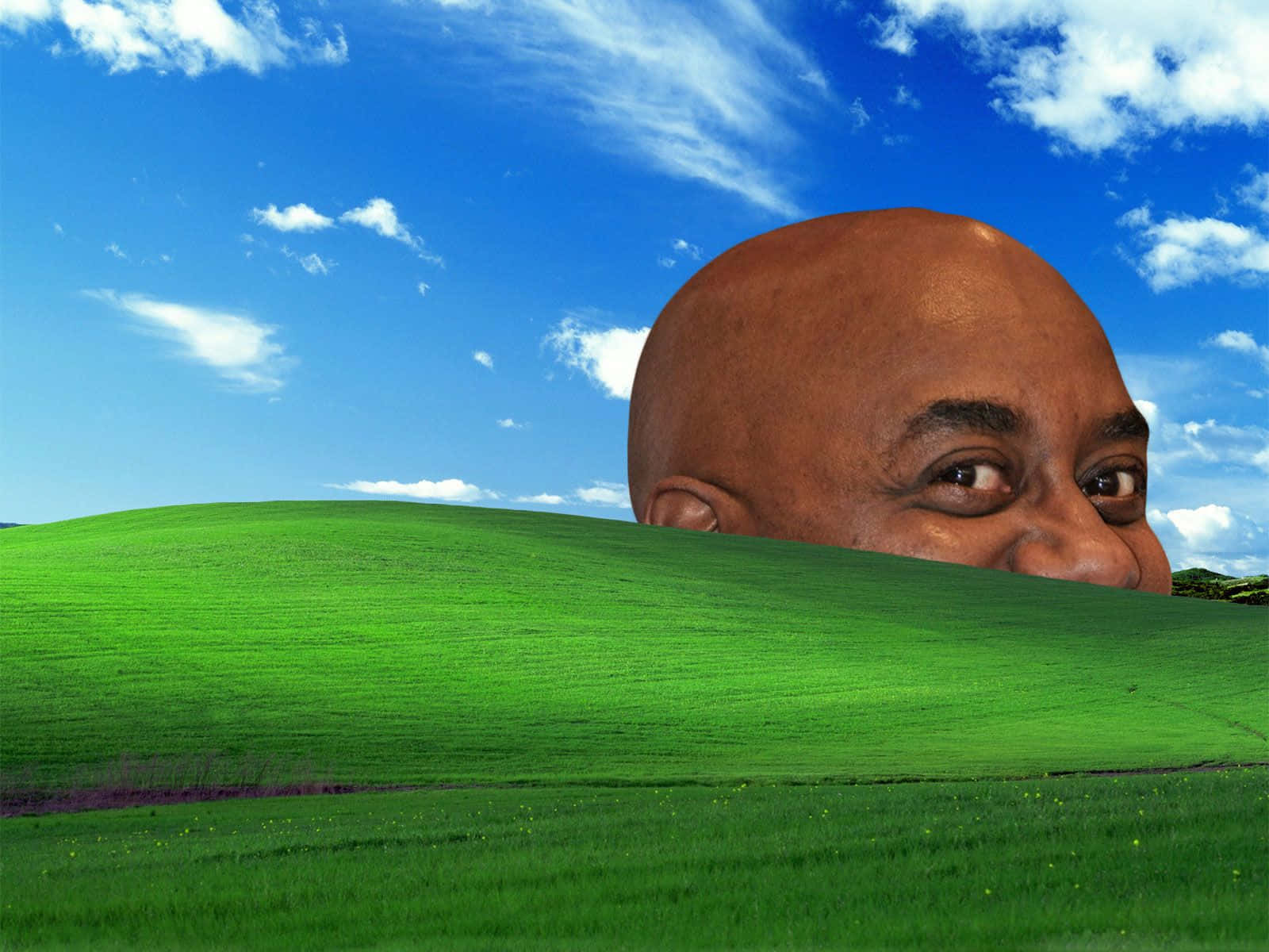 Peeking Bald Head Hillside.jpg Background