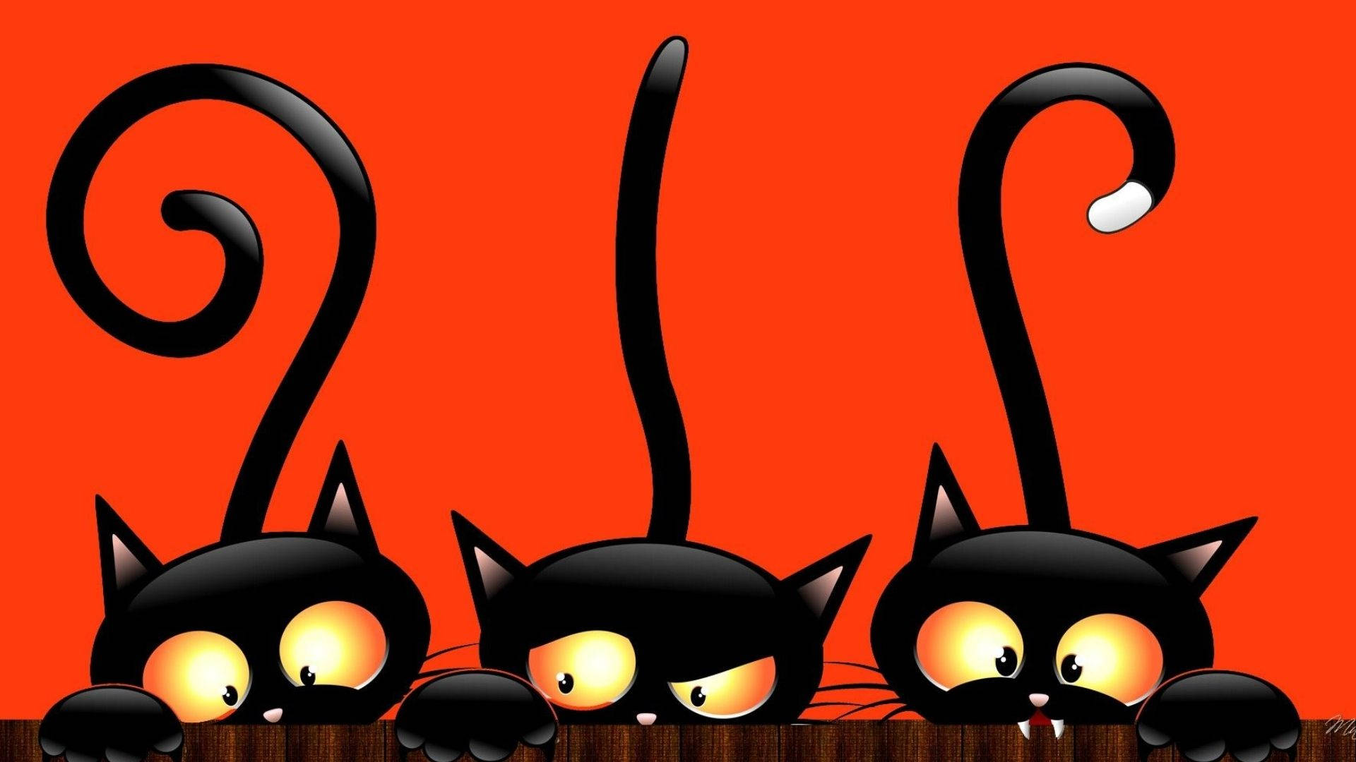 Peeking Out Cartoon Halloween Cats Background