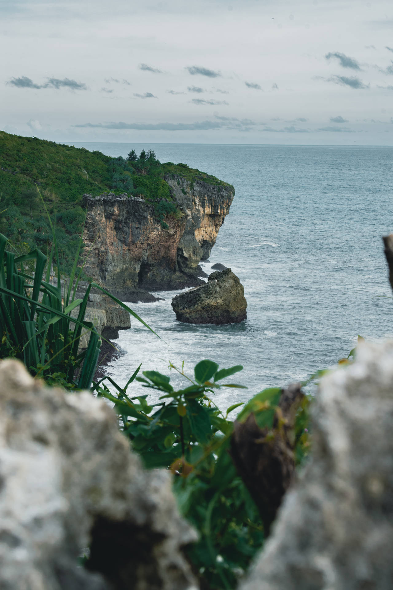 Pemandangan Ocean Cliff Portait Background