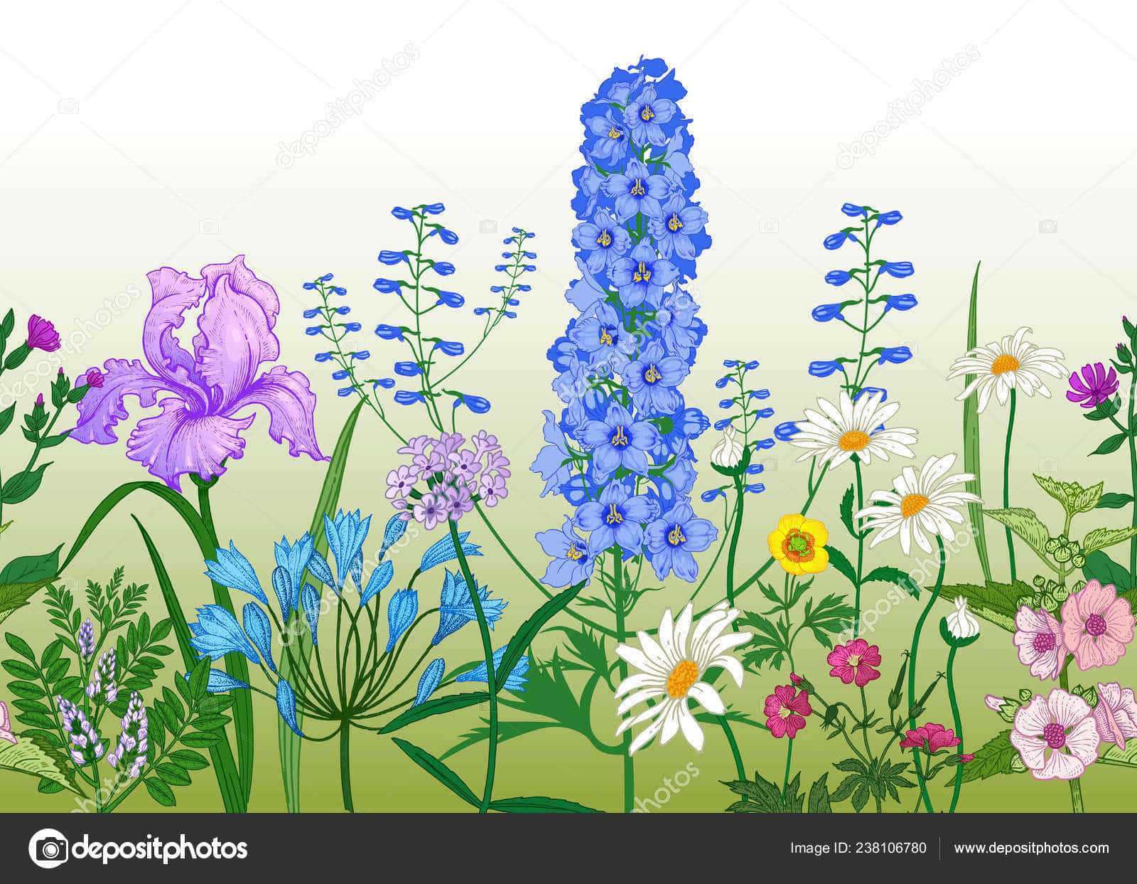 Pen And Ink Drawing Of Beautiful Flower Background