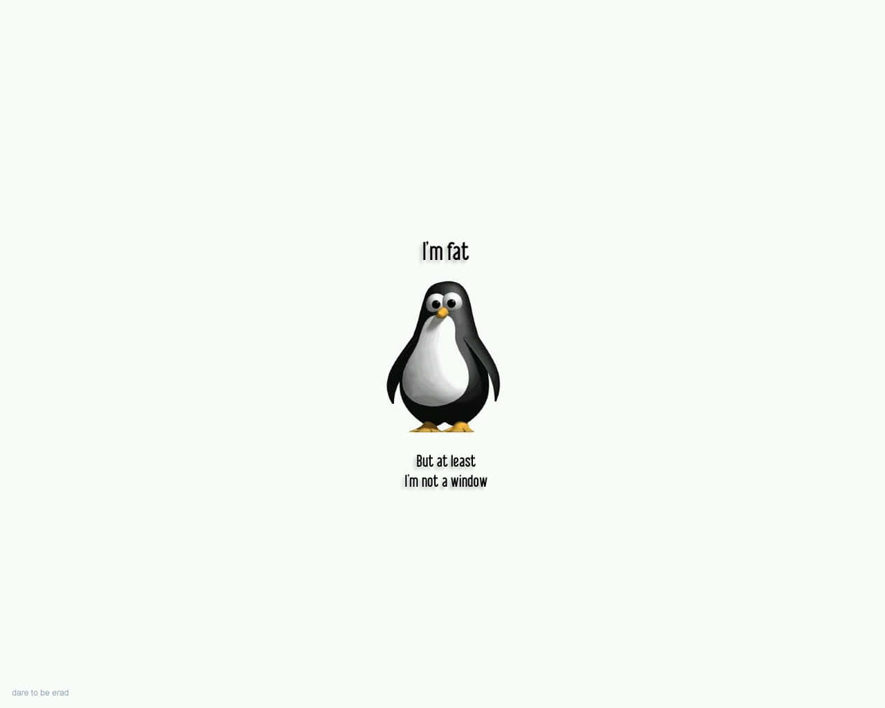 Penguin Humor_ Funny Quote.jpg Background