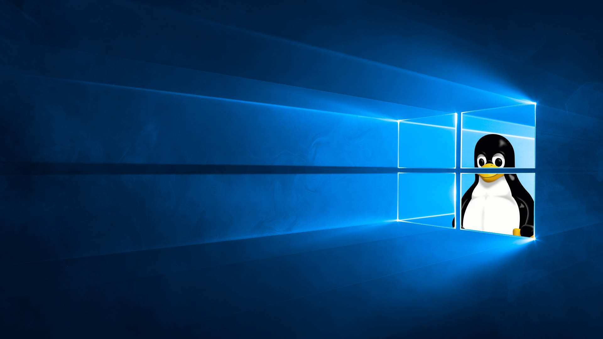 Penguin Themed Lock Screen Wallpaper With Blue Windows Backdrop