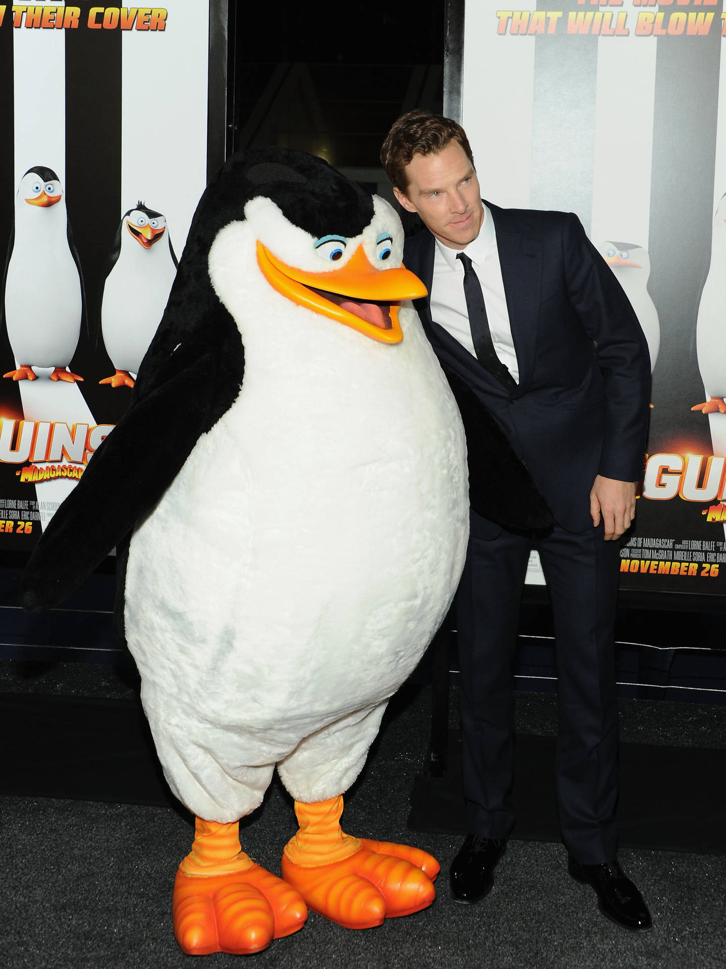 Penguins On An Adventure: The Penguins Of Madagascar Background