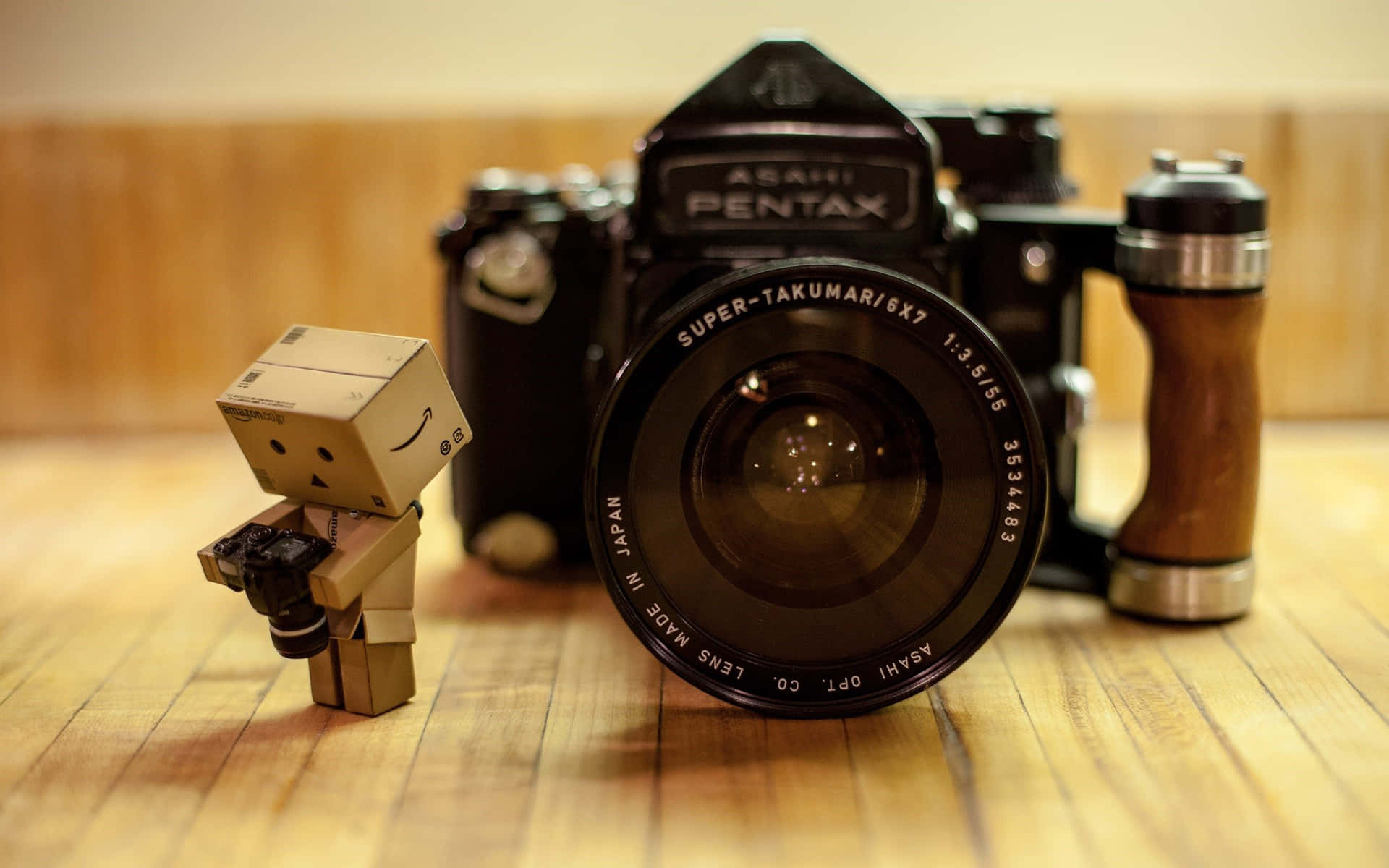 Pentax Photography Camera With Danbo Background