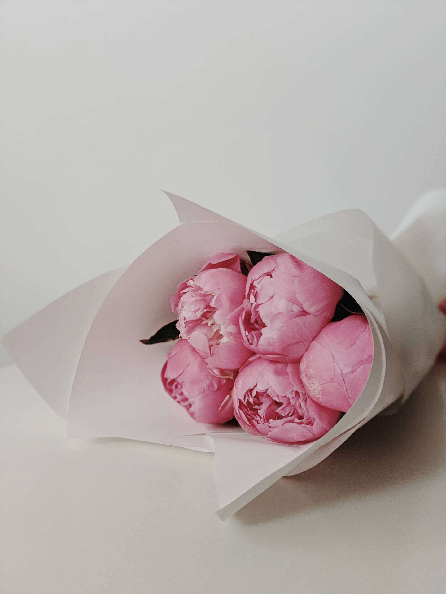 Peony Bouquet For Pink Flowers Aesthetic Background