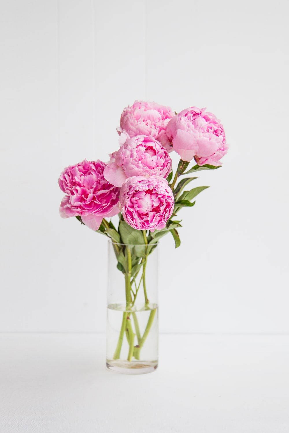 Peony Flowers In Glass Vase