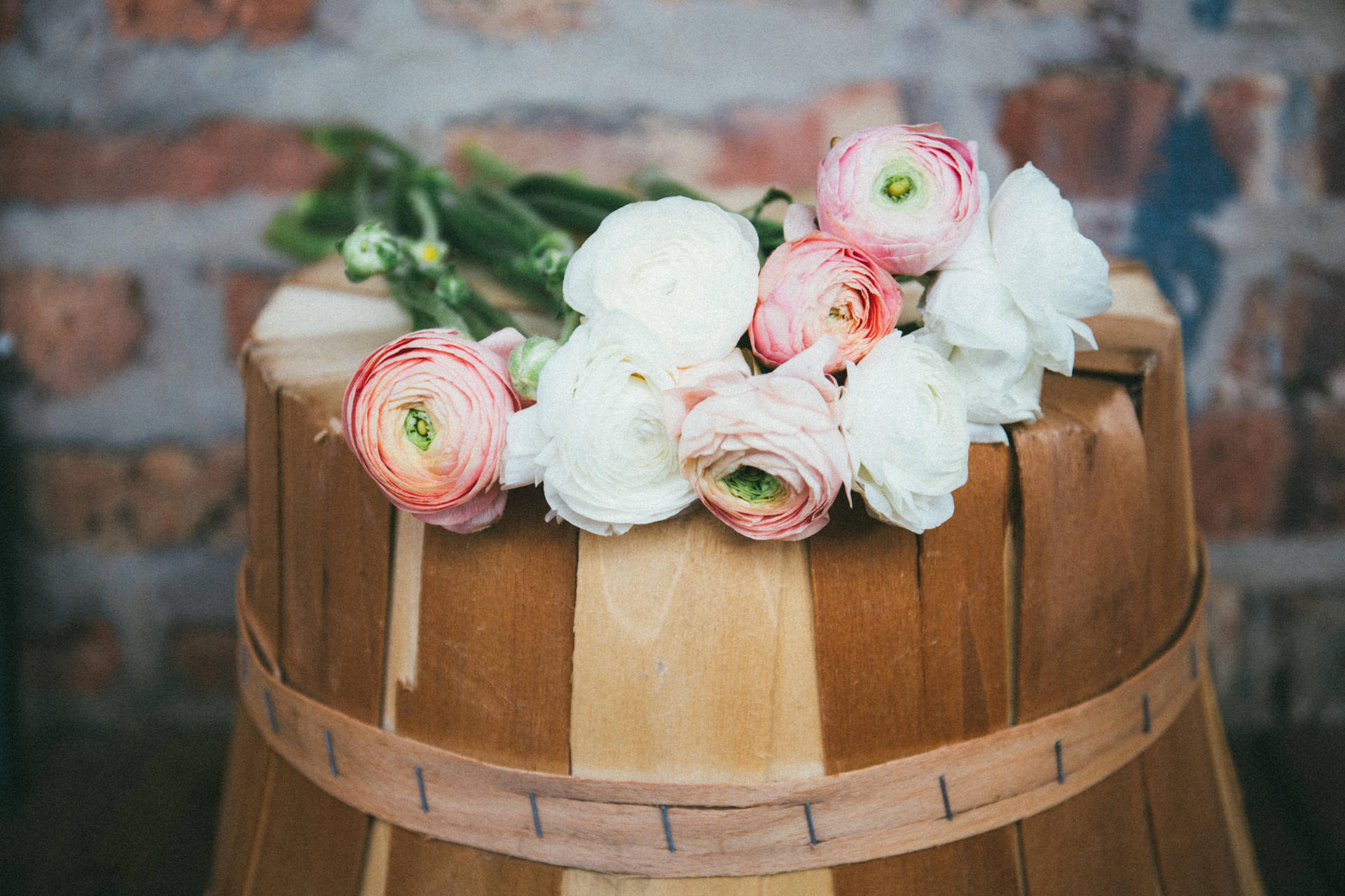 Peony Flowers On A Barrel