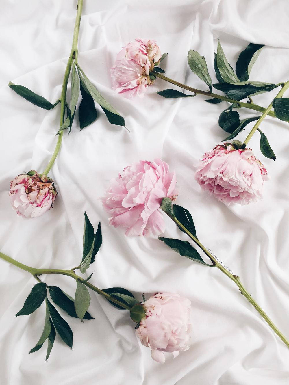 Peony Flowers On Satin Sheet Background