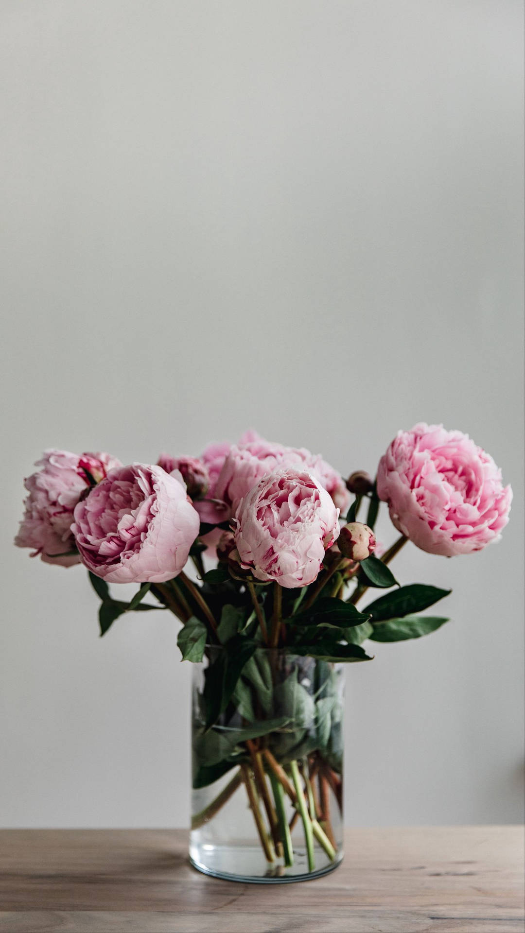 Peony Flowers On Wooden Desk Background