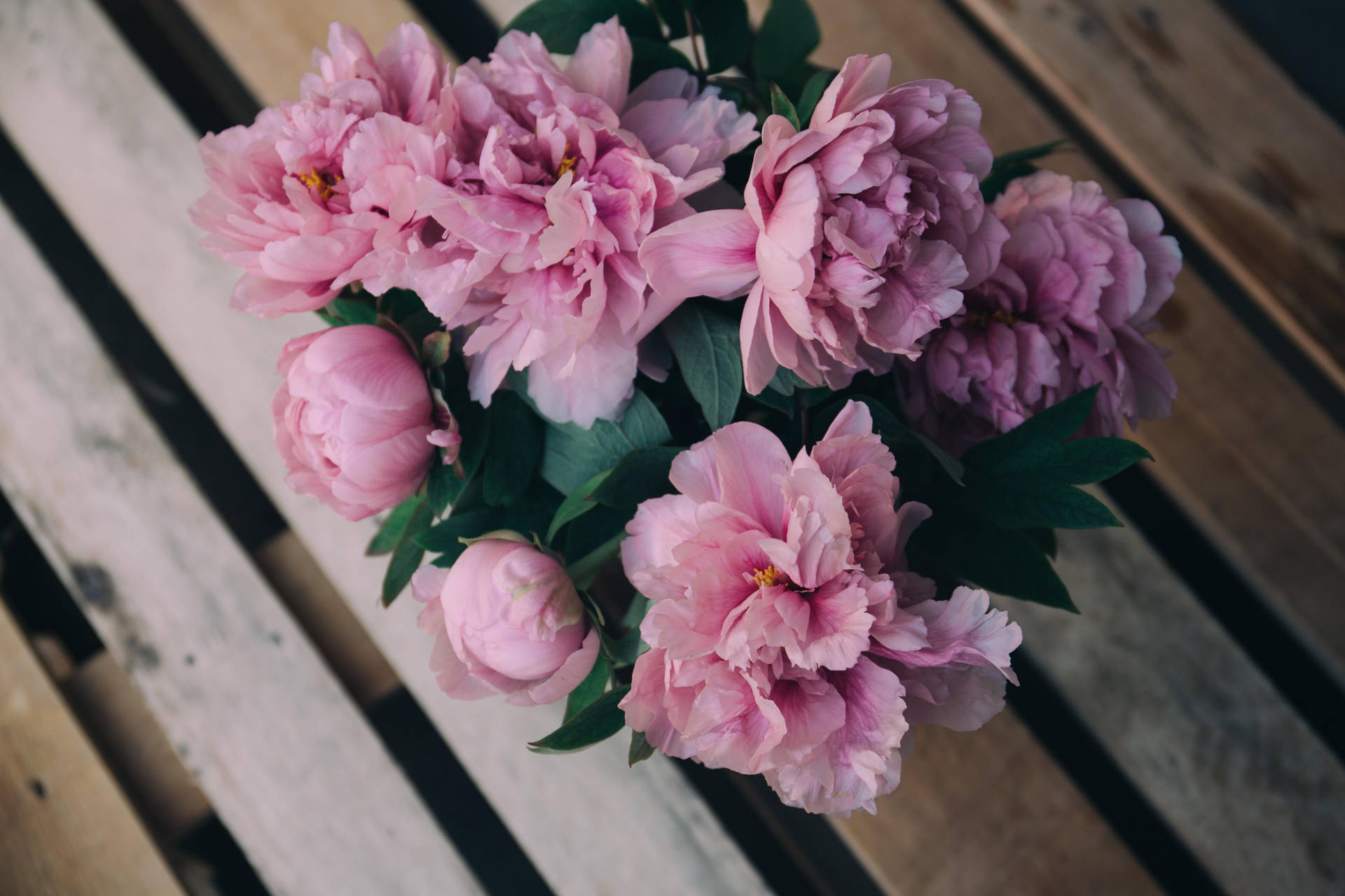 Peony Flowers On Wooden Panels Background