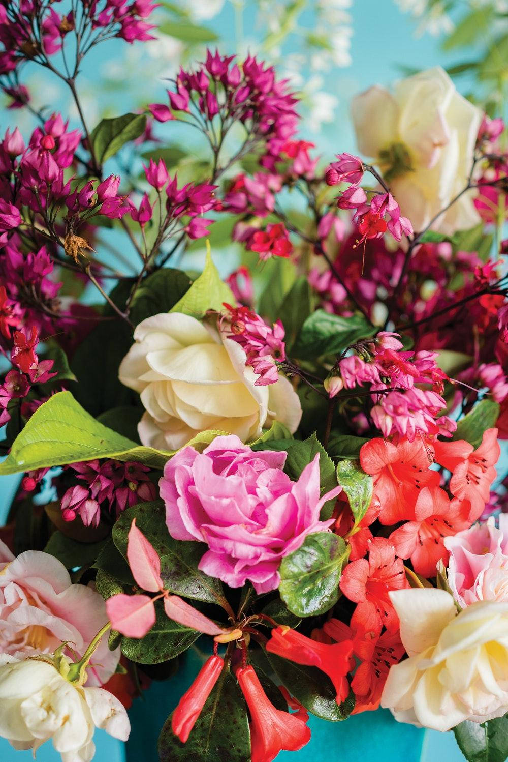 Peony With Colorful Flowers Background