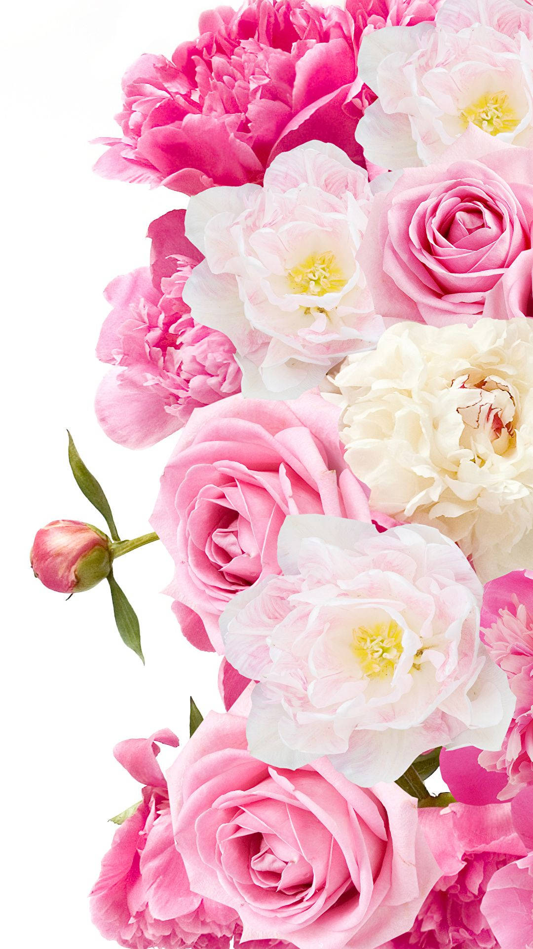 Peony With Other Pink Flowers Background