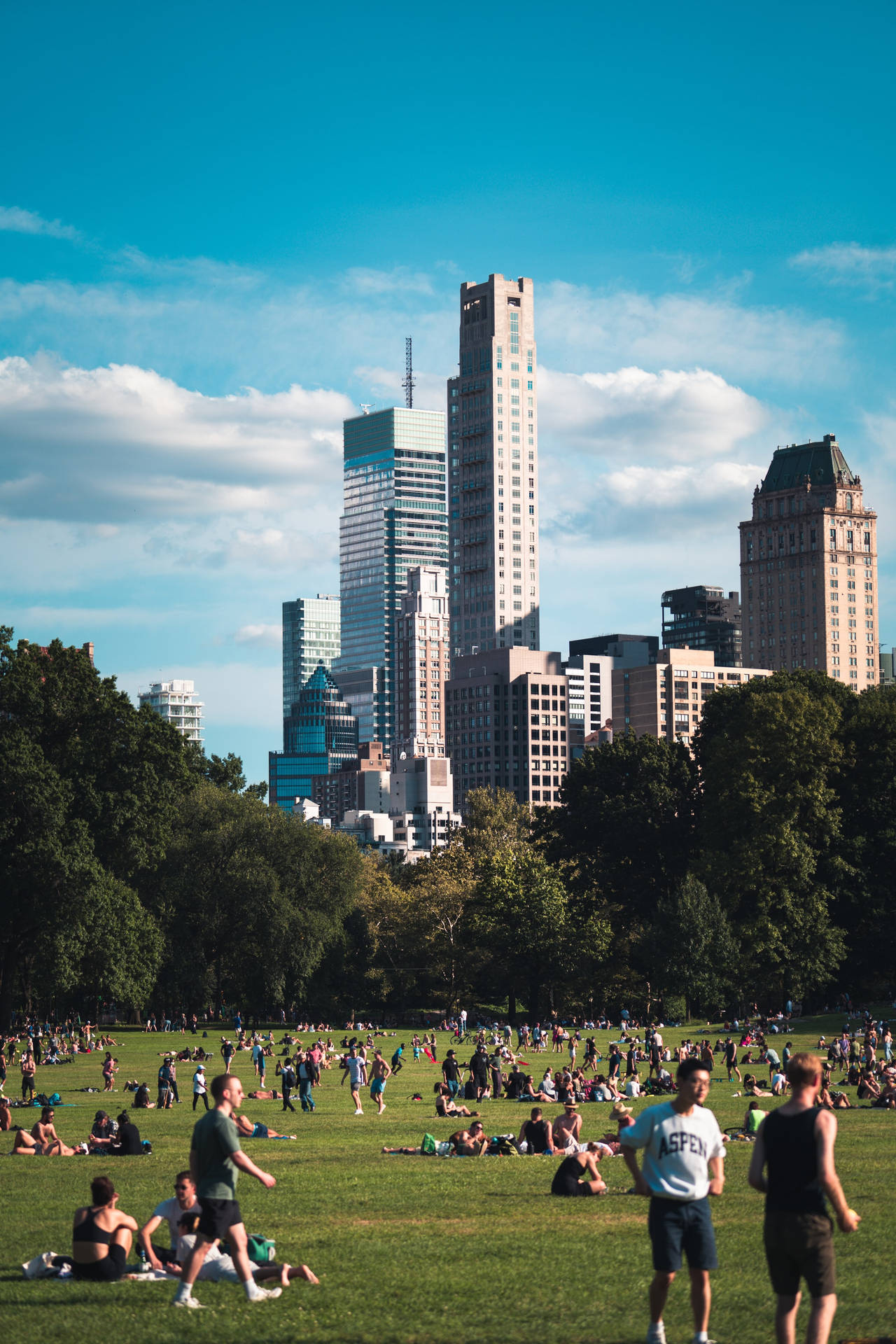 People On Central Park Field Background