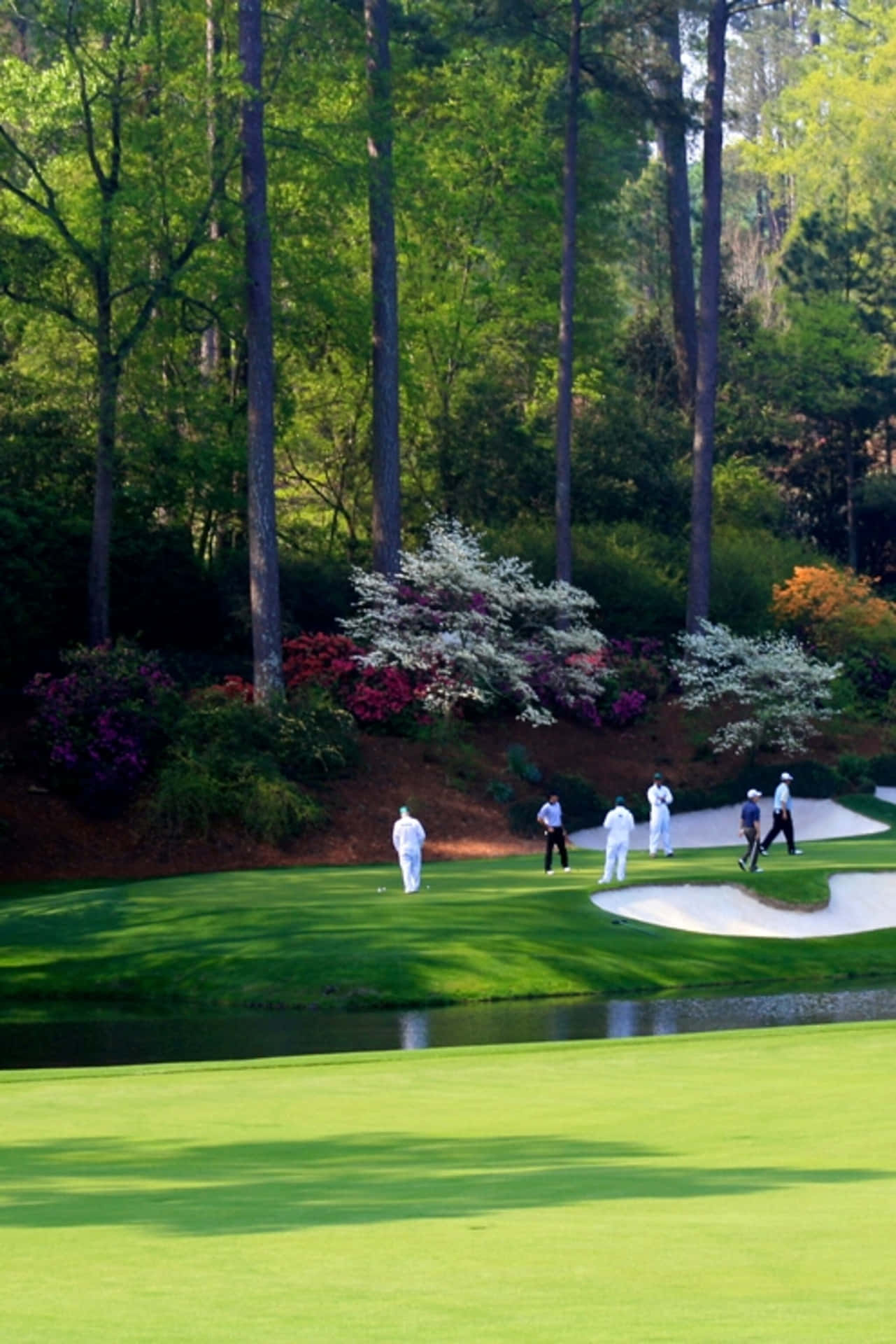 People Playing At Augusta National Iphone Background