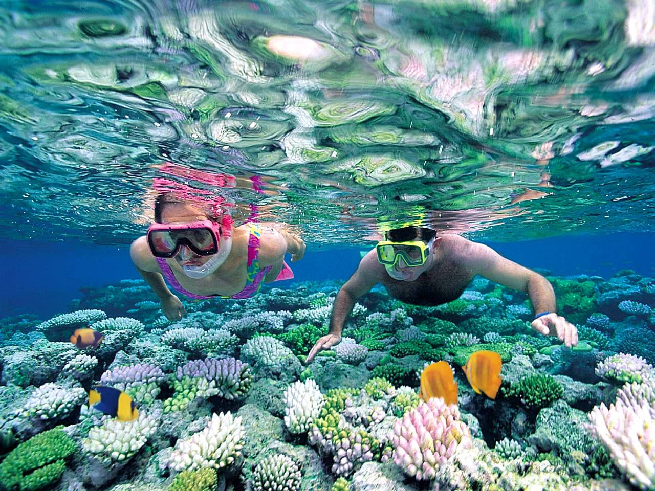 People Snorkeling In Shallow Waters Background