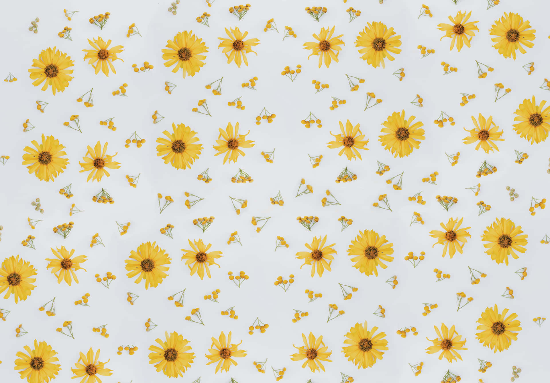 Perennial Wall Art Design Background