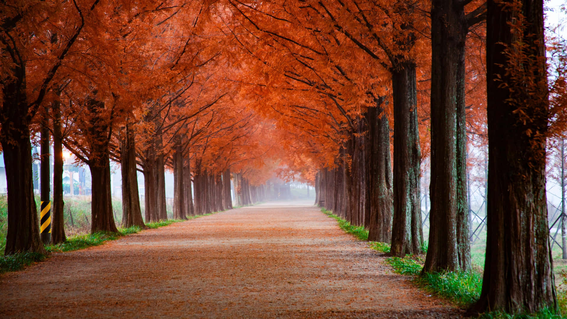 Perfect Autumn Day Background