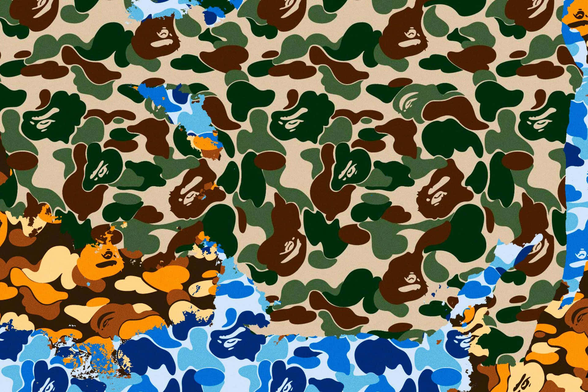 Perfect Camouflage Background