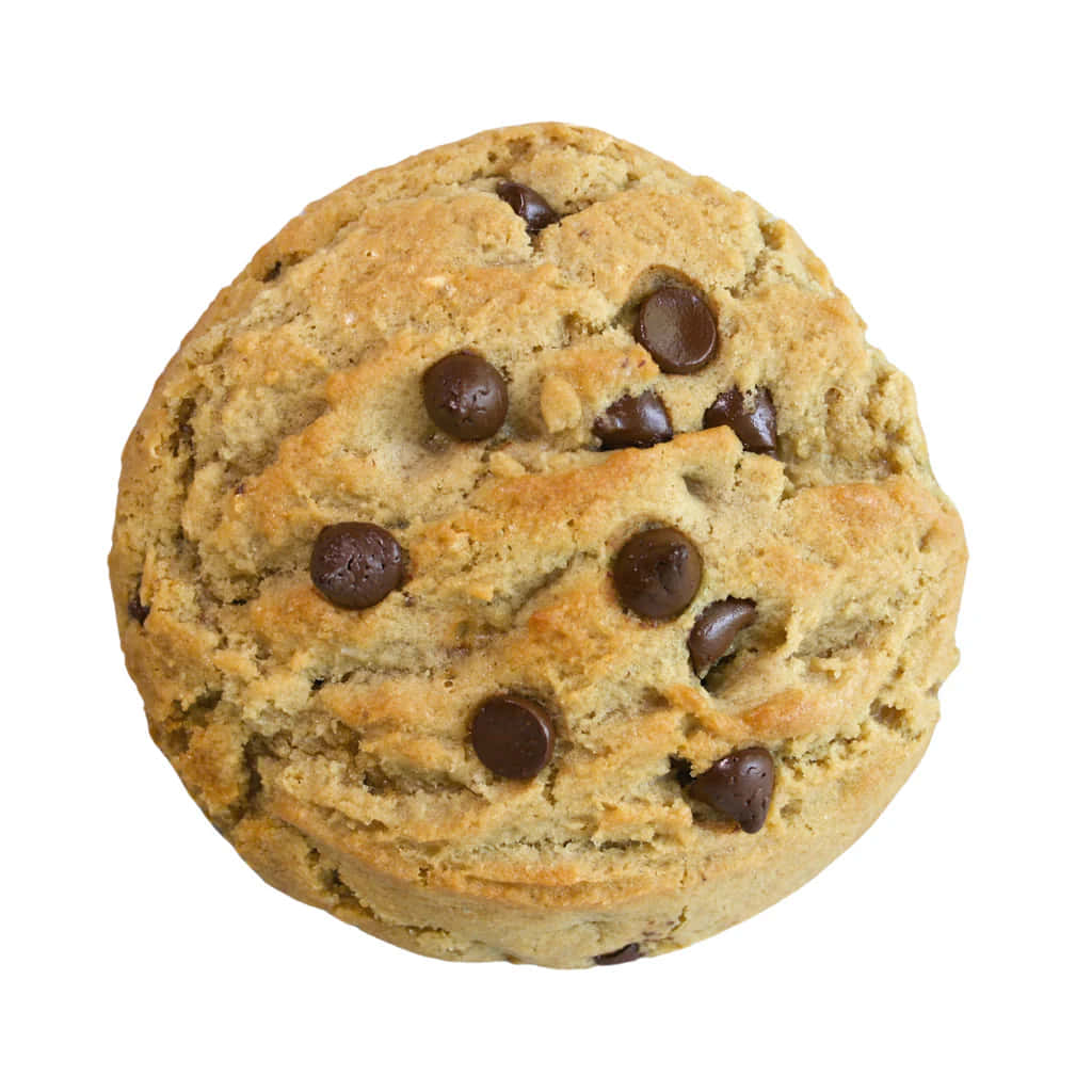 Perfect Chocolate Chip Cookie Isolated Background