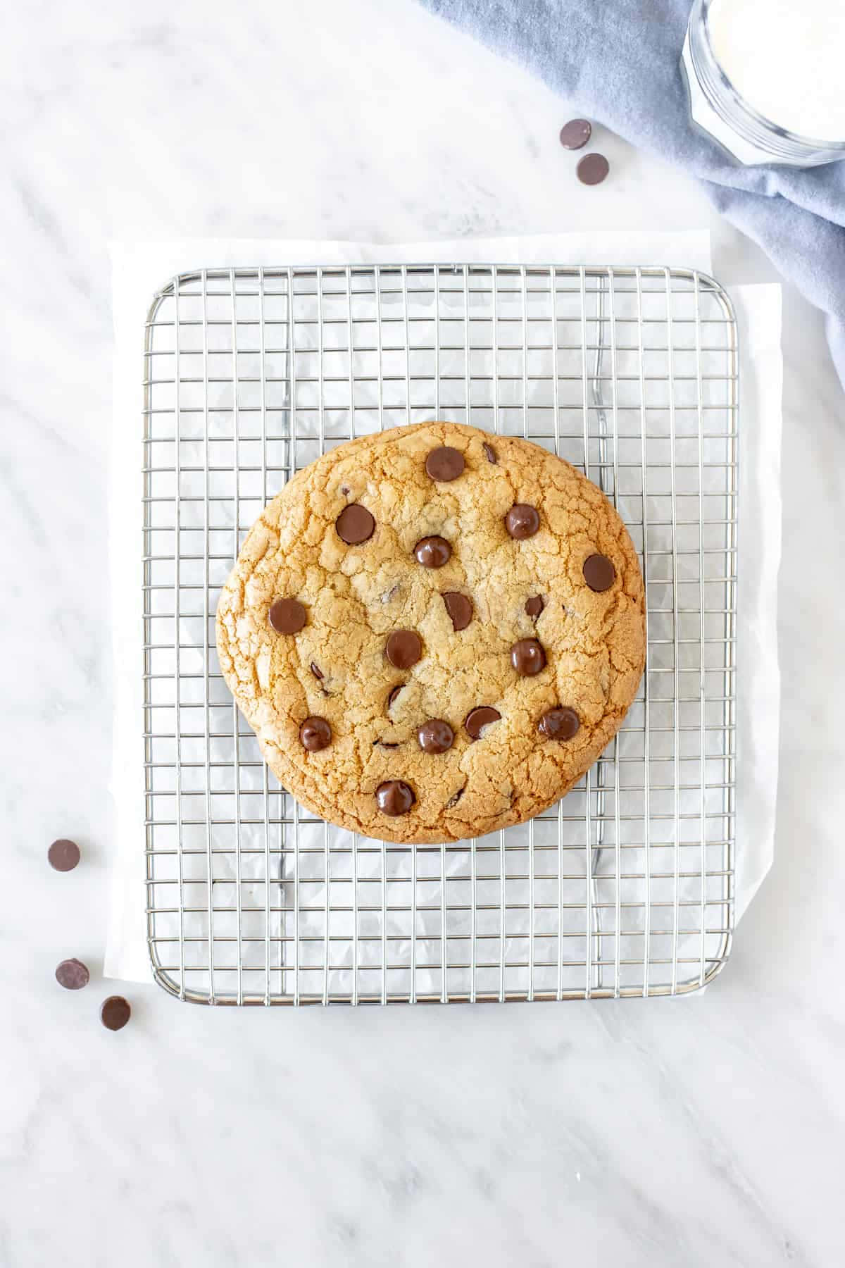 Perfect Chocolate Chip Cookieon Cooling Rack Background
