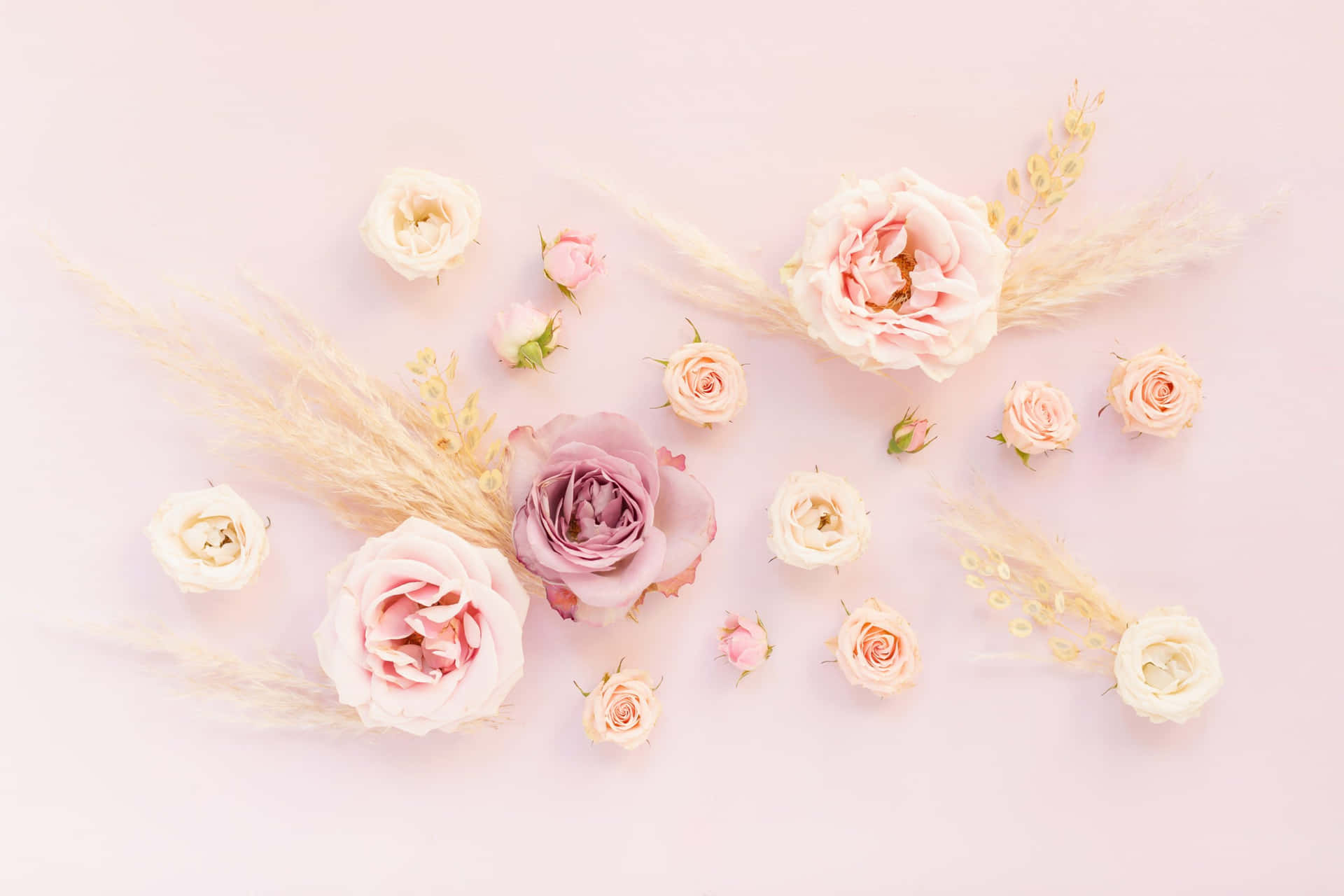 Perfect Desktop Wallpaper For A Beautiful Spring Day! Background