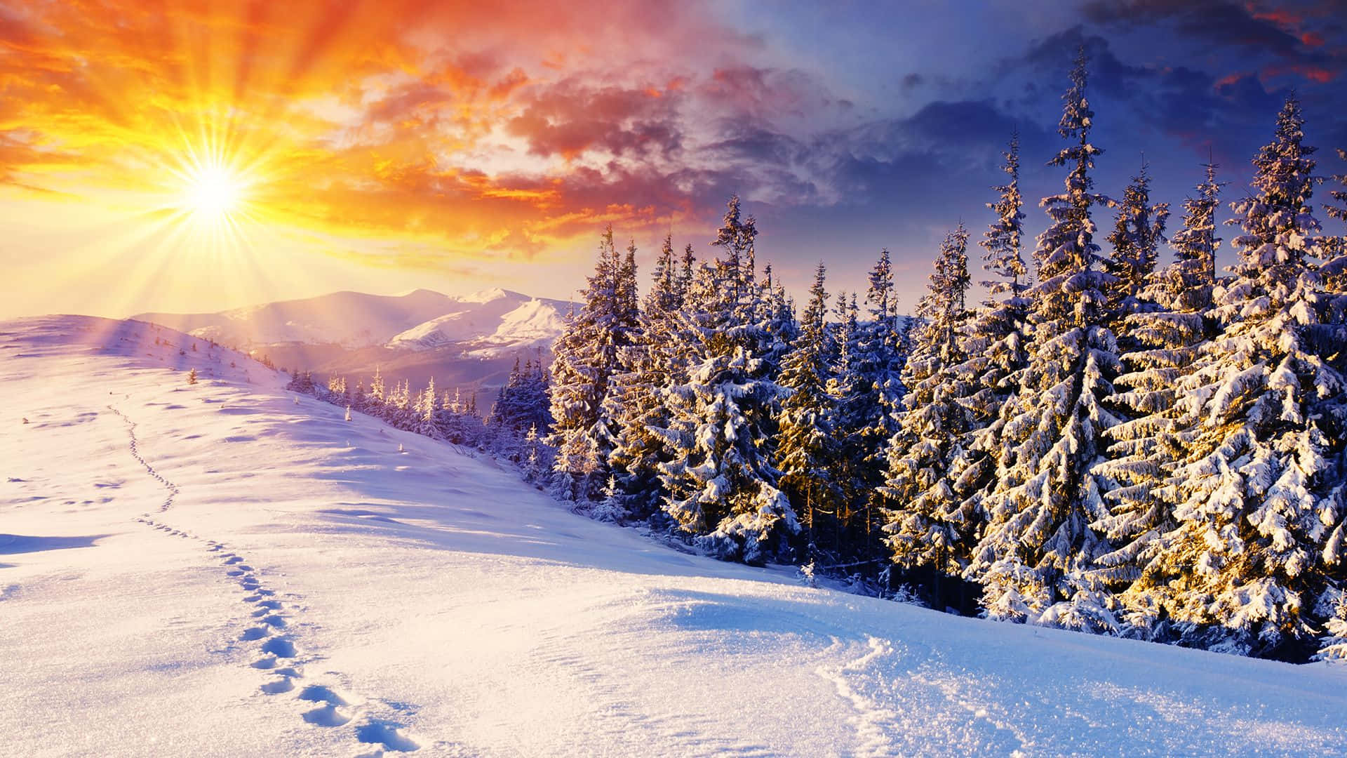 Perfect Winter Wonderland Background