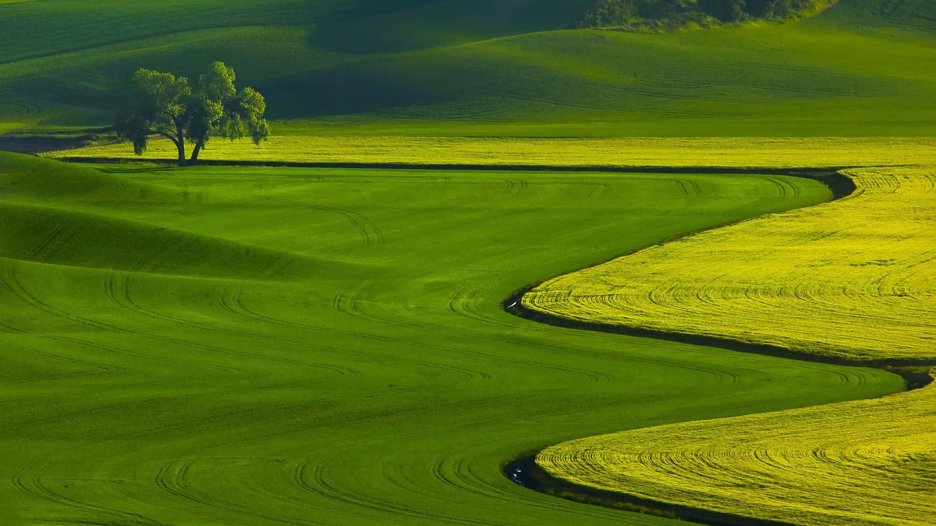 Perfect Your Swing With Awesome Golf Background