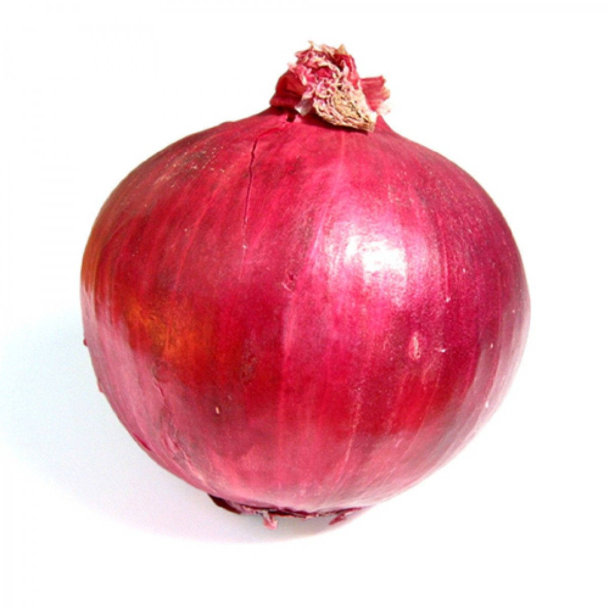 Perfectly Round-shaped Red Onion Background