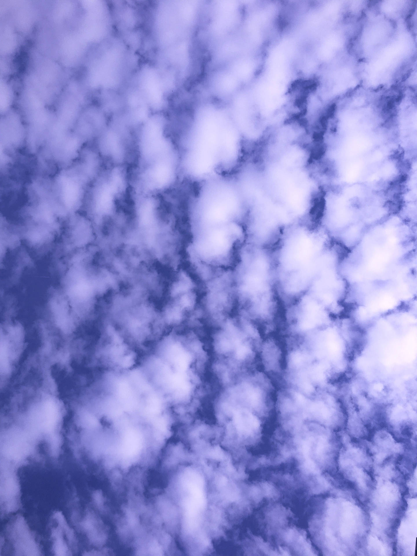 Periwinkle Aesthetic Stratus Clouds Background