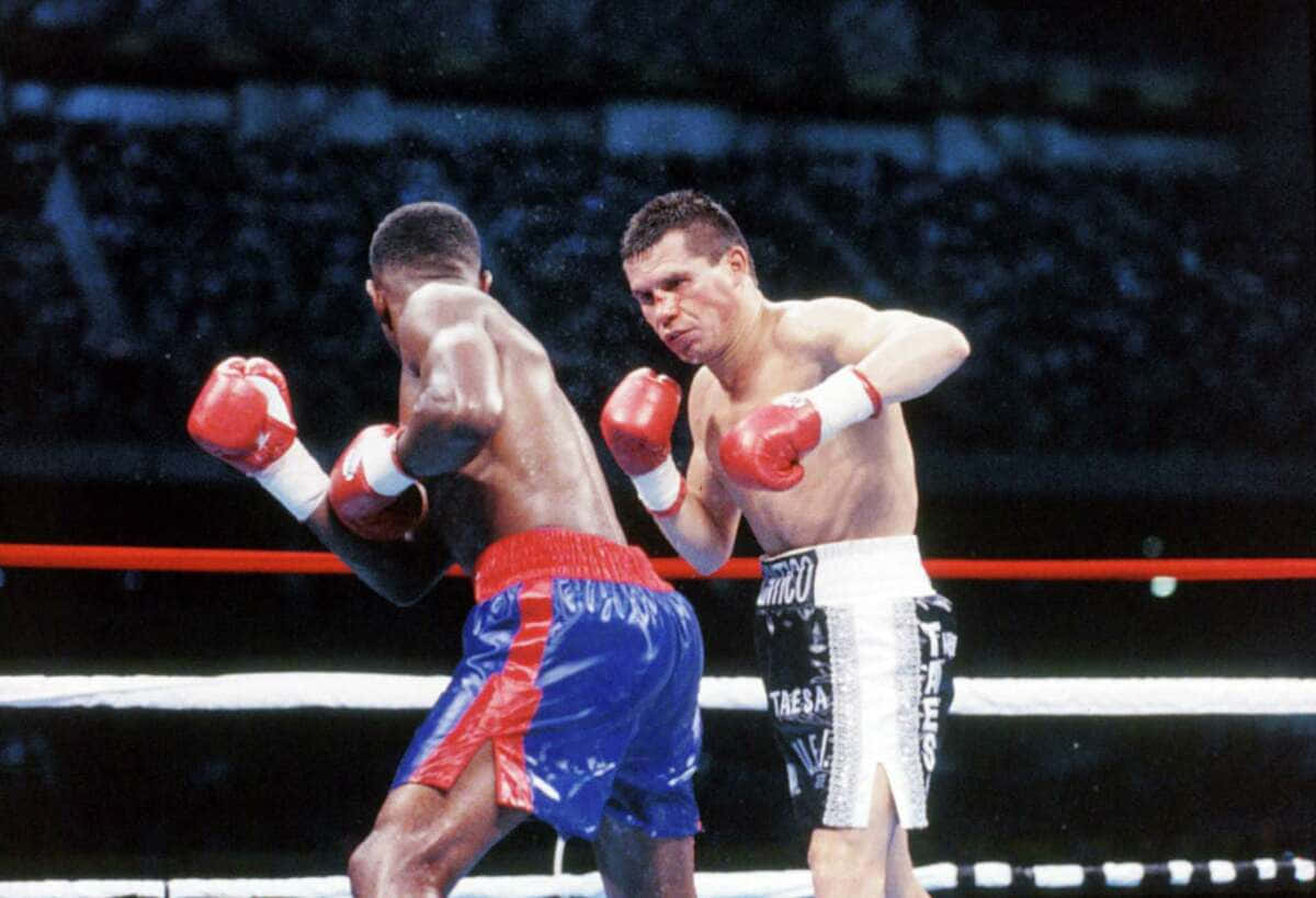 Pernell Whitaker After Right Hook Background