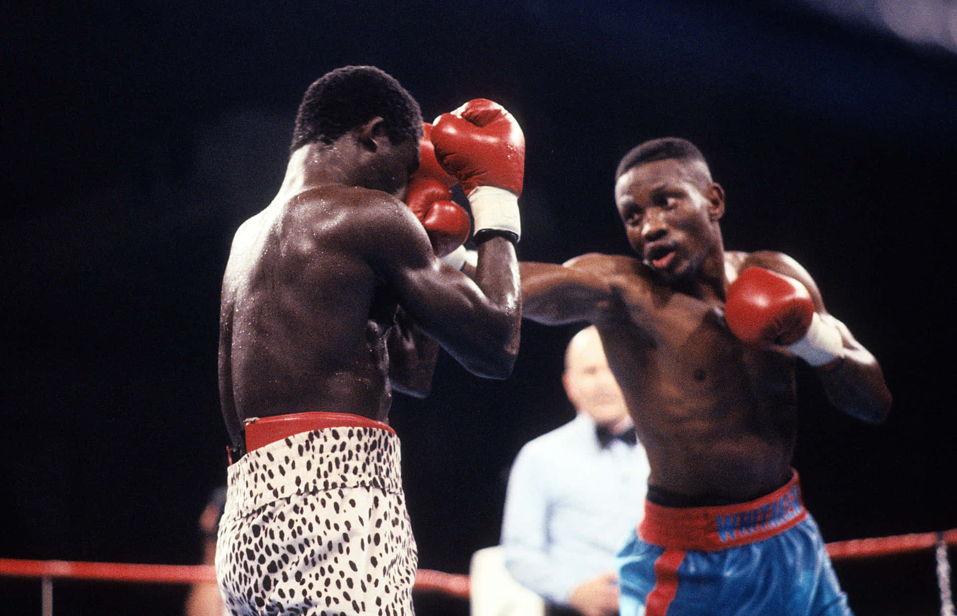 Pernell Whitaker Breaching Defence Background