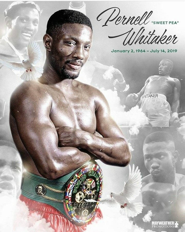 Pernell Whitaker Poster Background