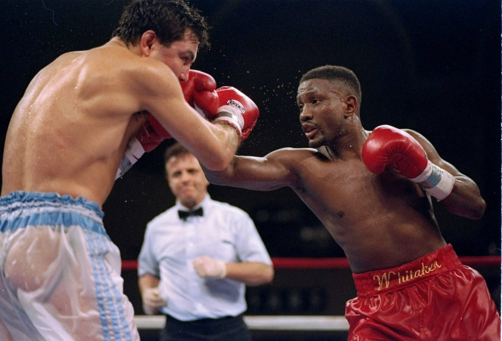 Pernell Whitaker Punching Background