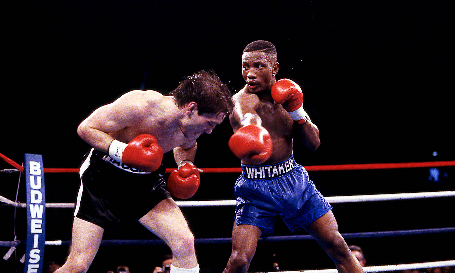 Pernell Whitaker Sliding Punch Background