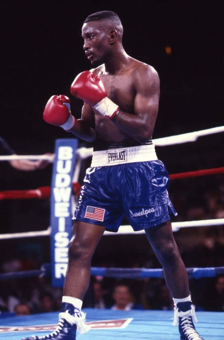 Pernell Whitaker Waiting For Opponent Background