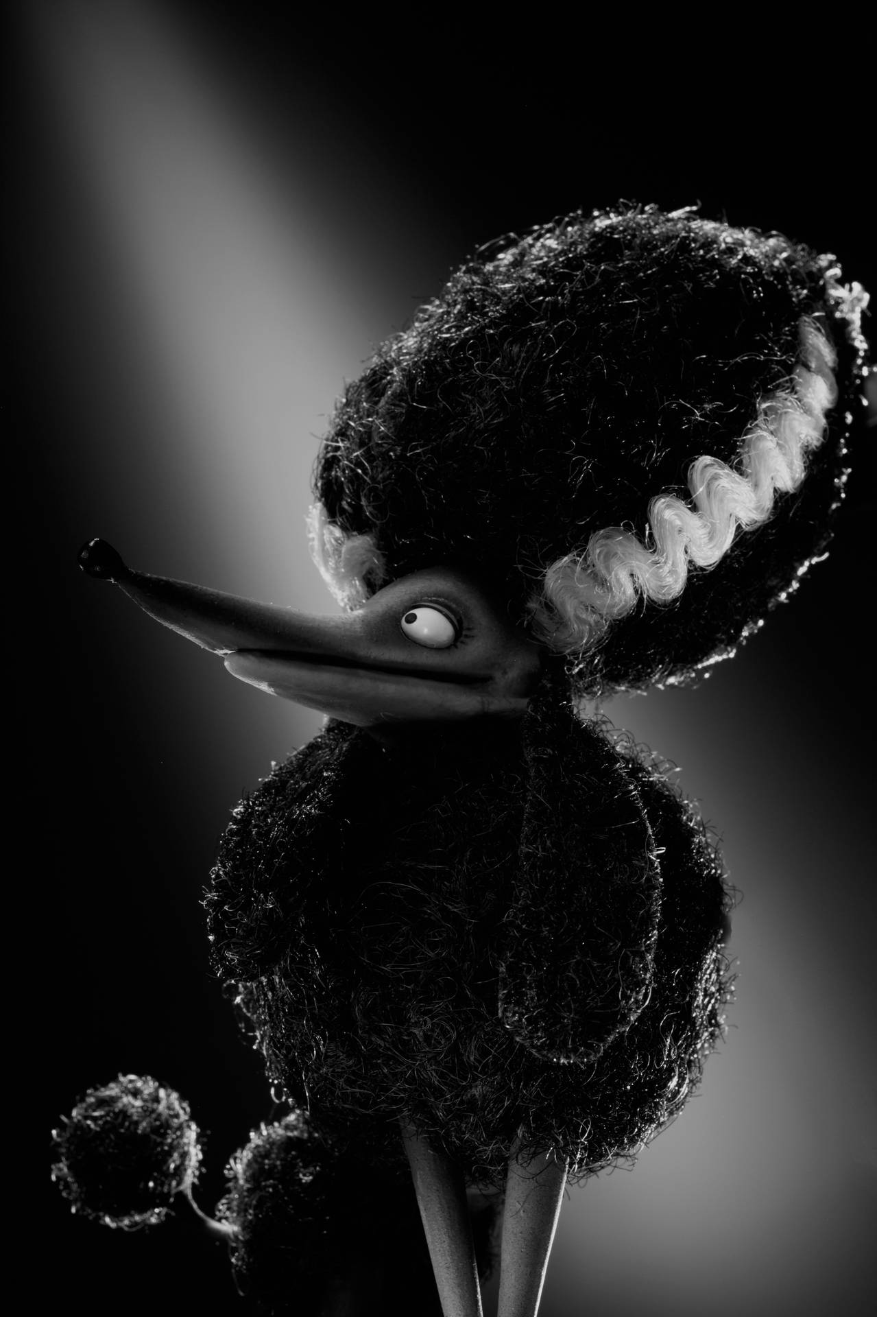 Persephone, The Poodle From Frankenweenie Poster Background