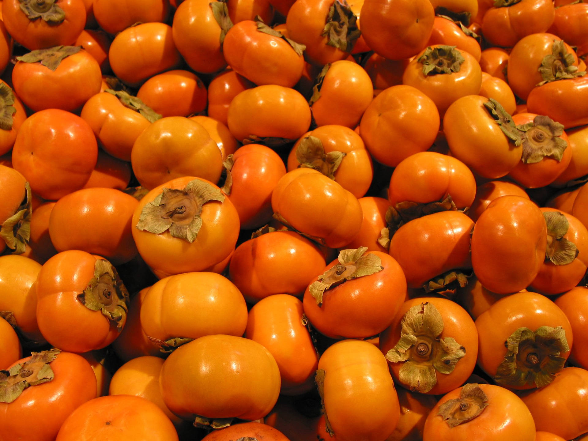 Persimmon Fruit Display Background