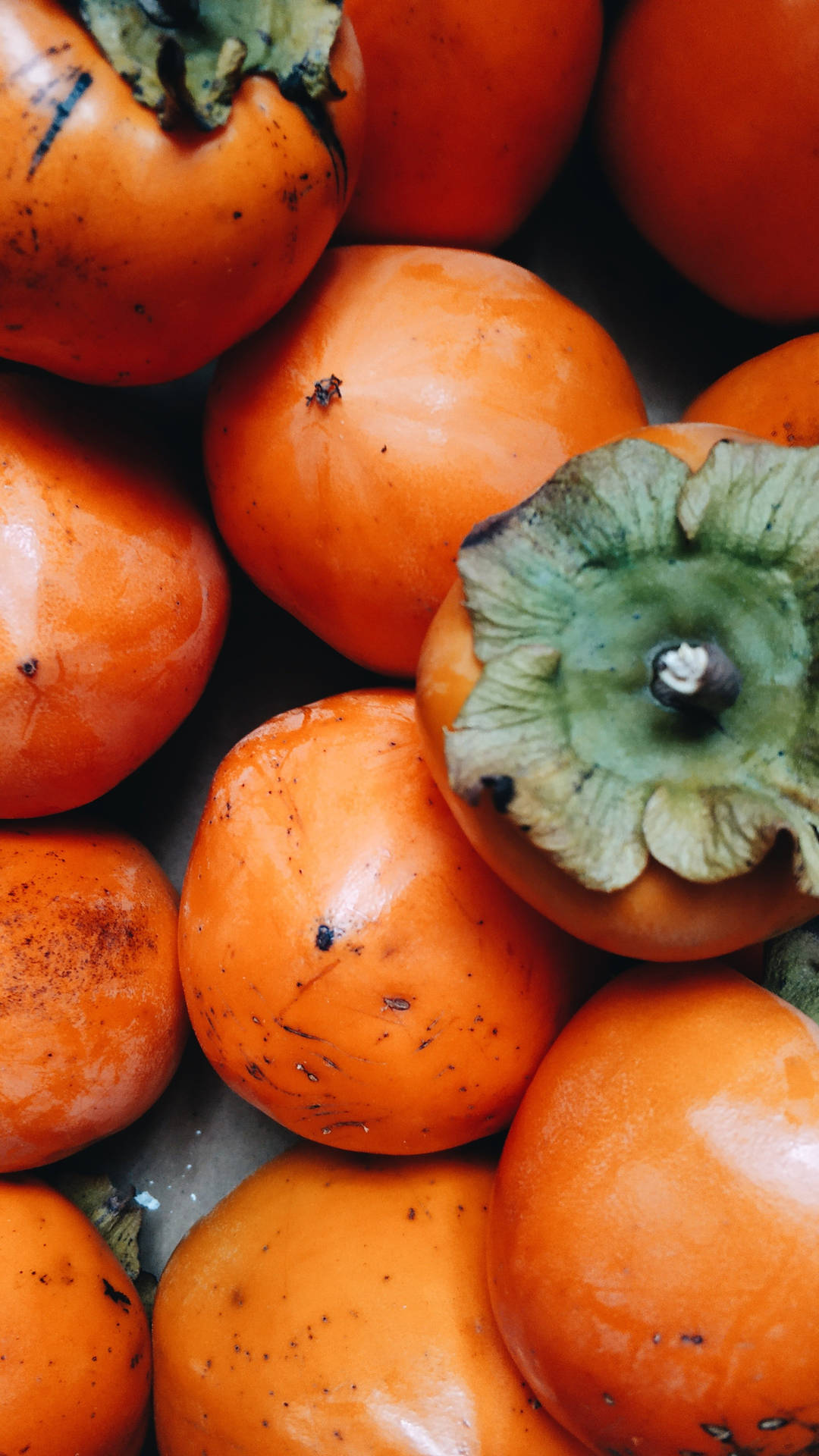 Persimmon Fruit Background