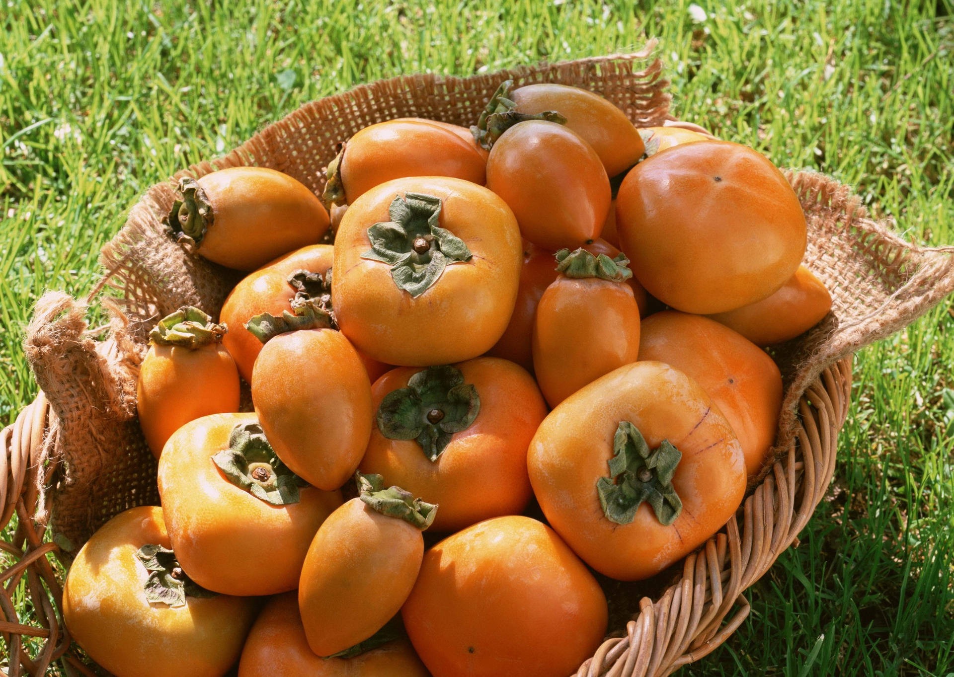 Persimmon Fruits Inside Woven Basket Background