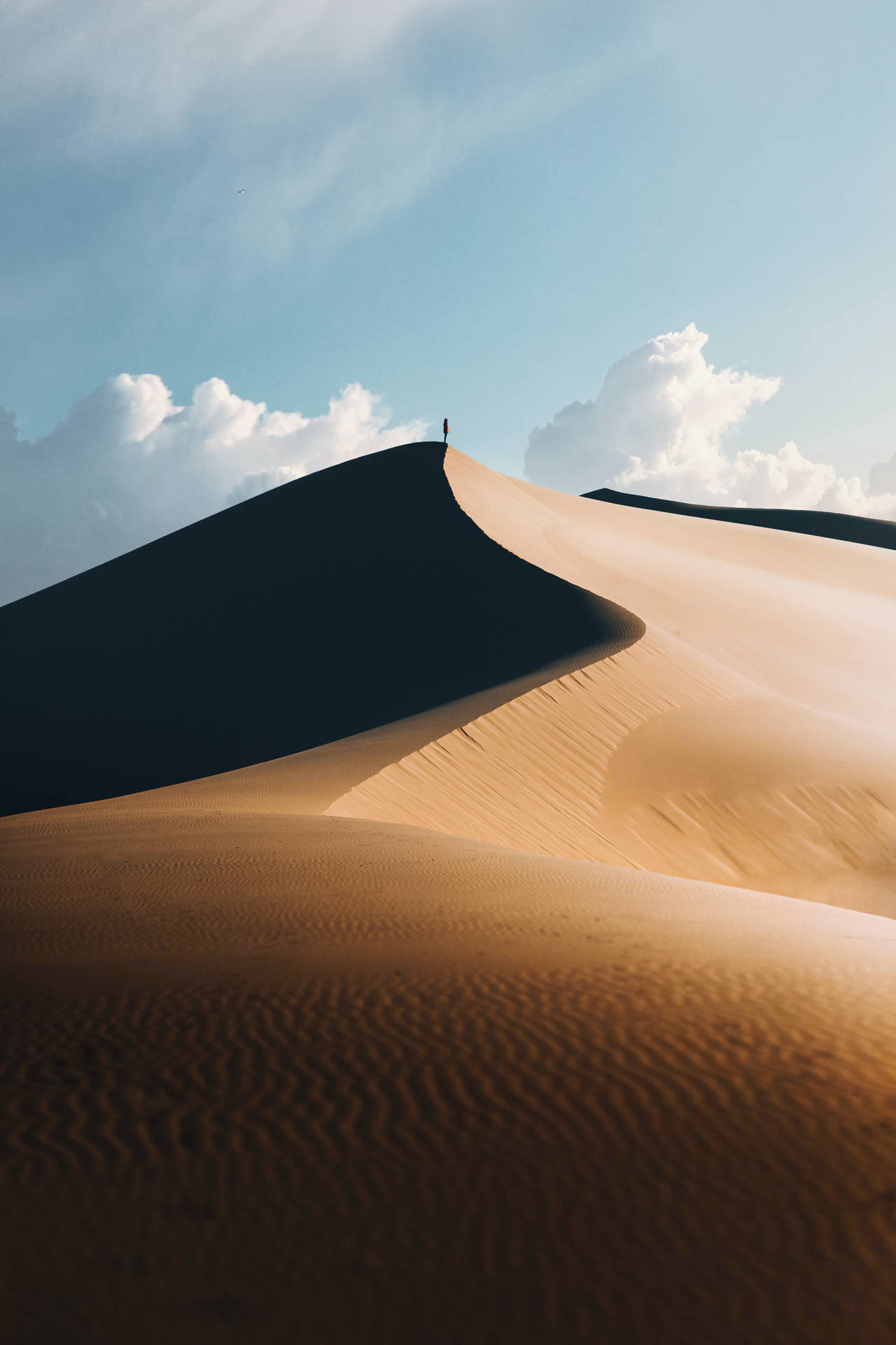 Person In Desert Background