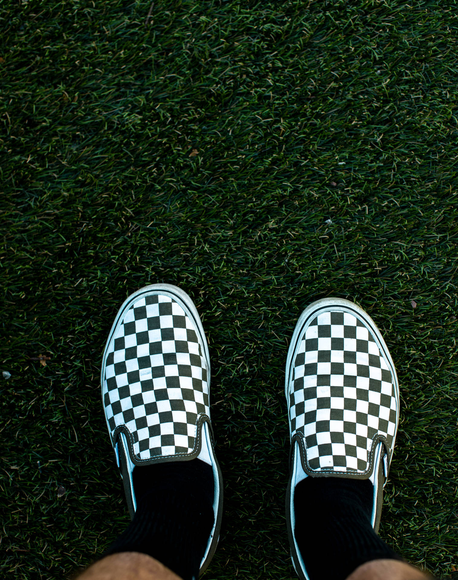 Person On Checkered Vans Shoes