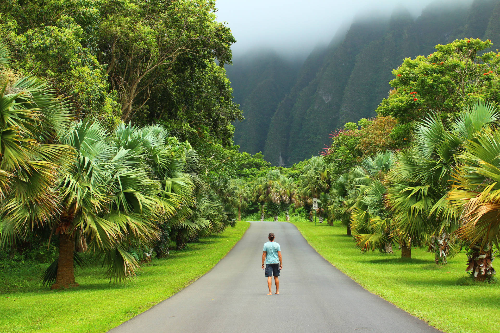 Person On Nature Walk In Oahu Background