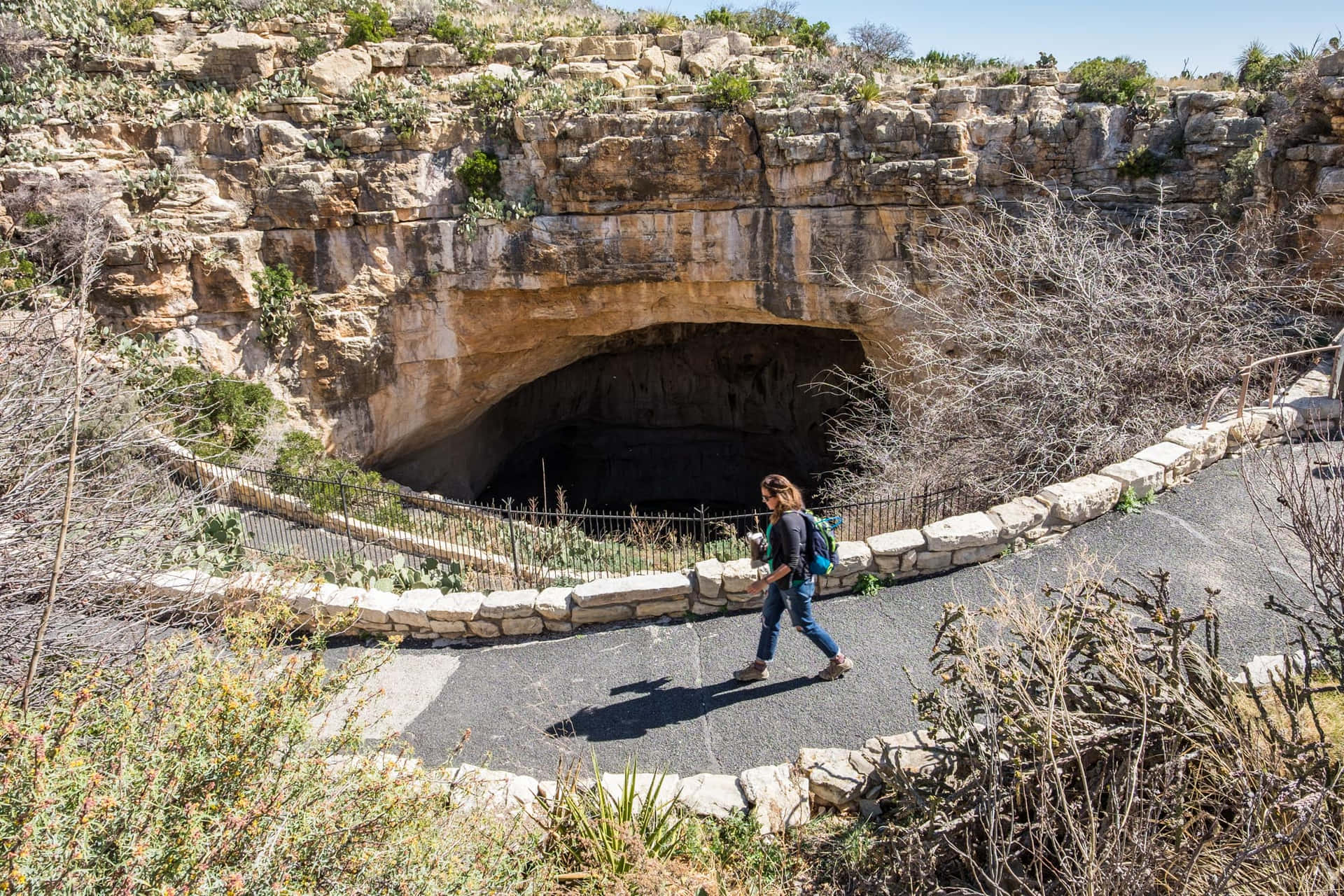 Person Strolling Carlsbad Caverns National Park Background