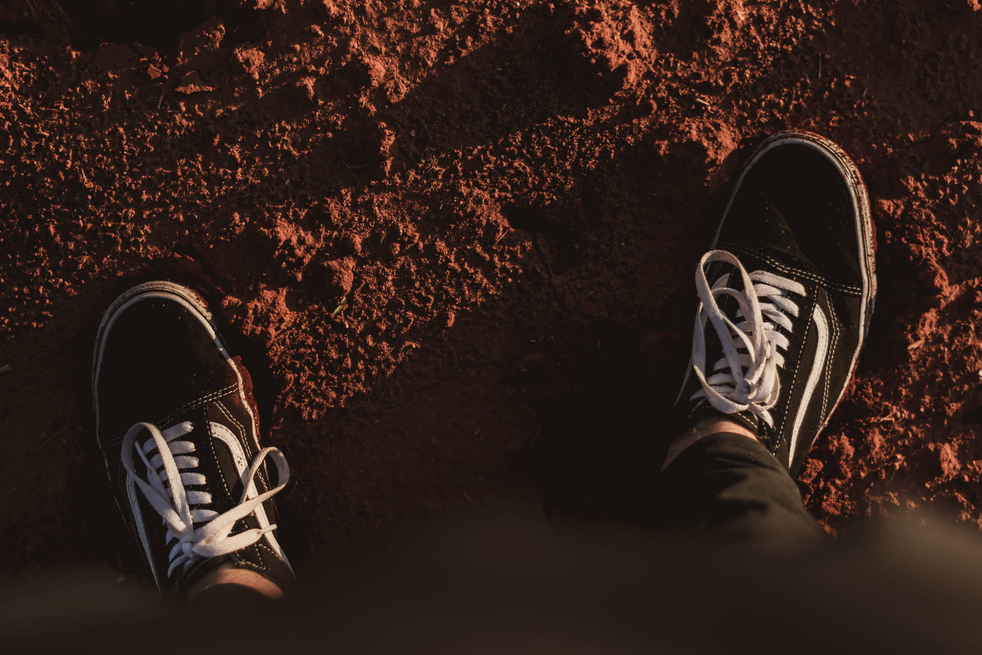 Person Wearing Authentic Black Vans Background