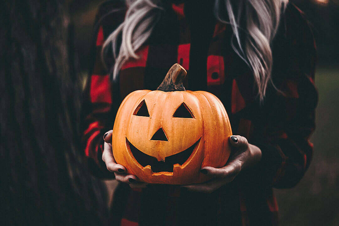 Person With Halloween Pumpkin Computer