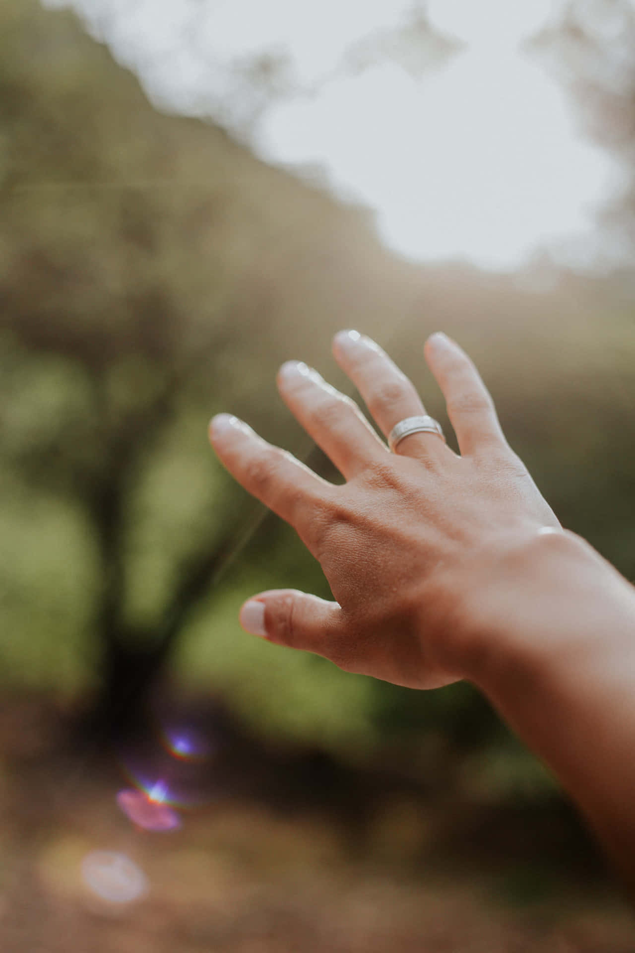 Personal Hand Outstretched Background